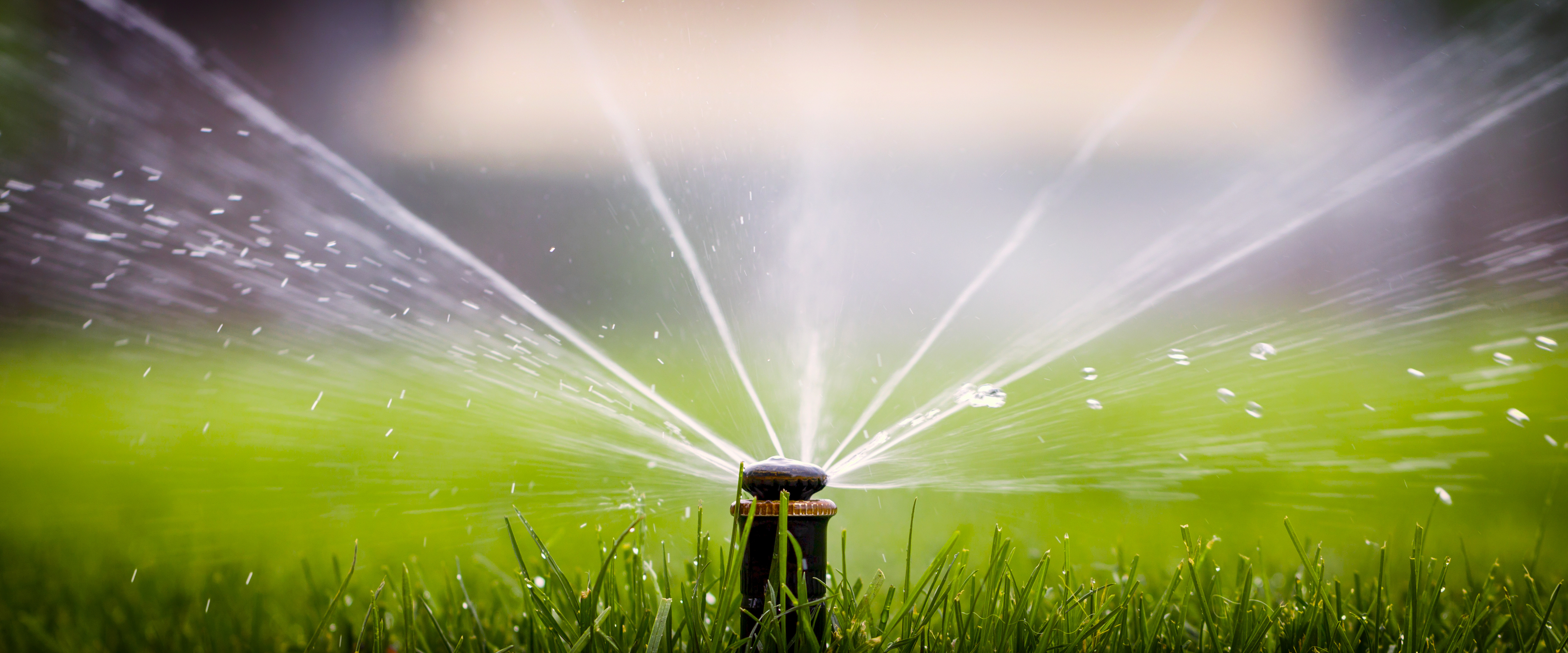 Lawn watering