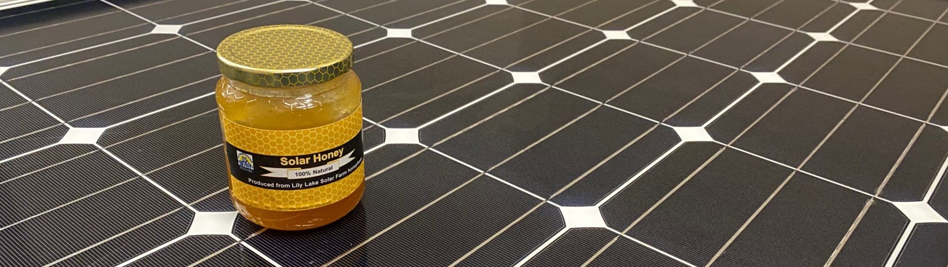 jar of honey on a solar panel