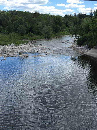 Low flow water level