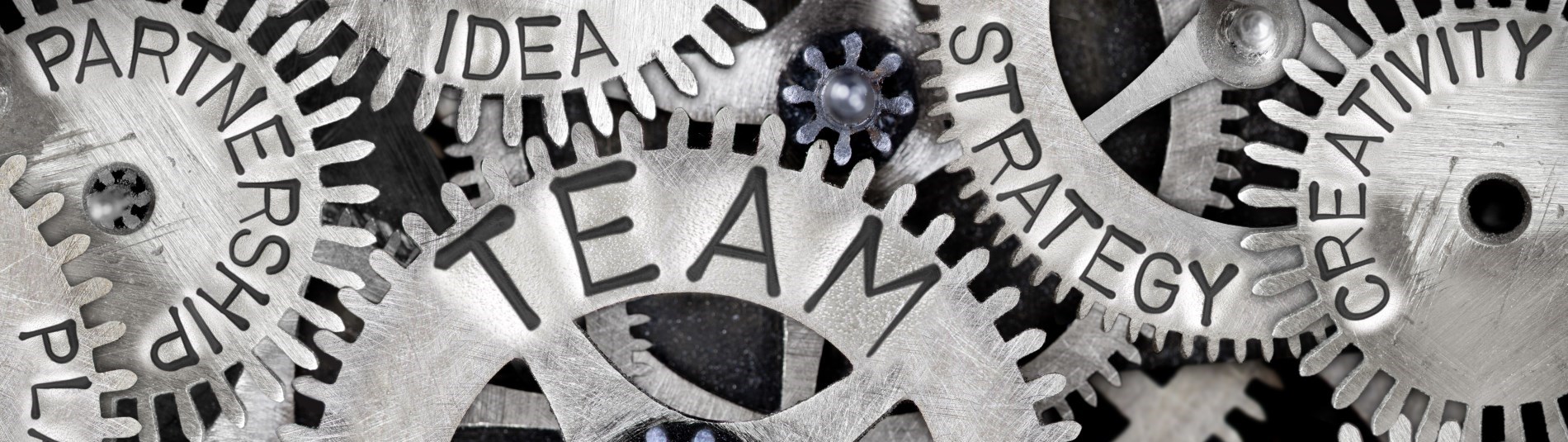 gears with management words