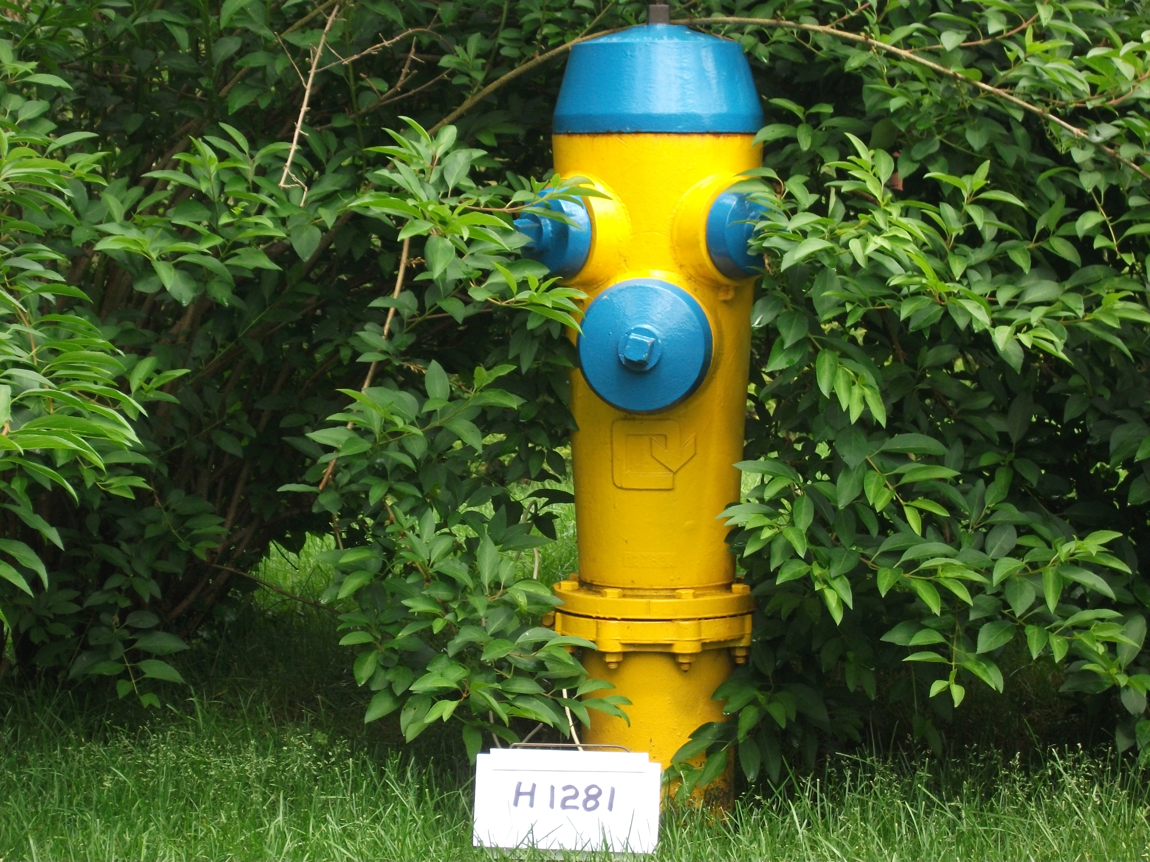 Fire hydrant in green bushes