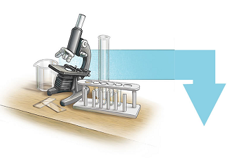 Microscope Lab testing